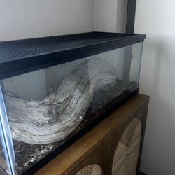 TWO TANKS FOR CHEAP!!