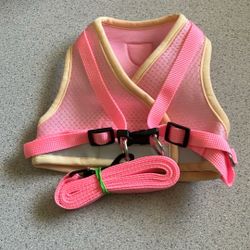 Large Dog Harness,  plus matching Lead