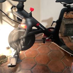 Pelaton Cycle