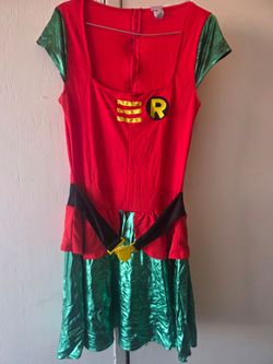 Robin costume  large