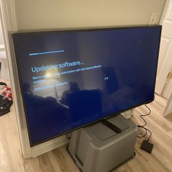60 Inch Vizio 