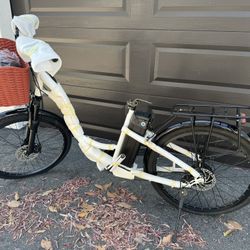 Electric Bike