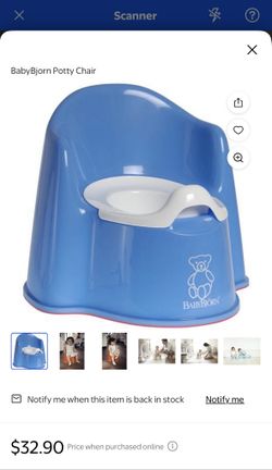 Baby Bjorn Potty Chair