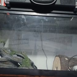 Reptile tank