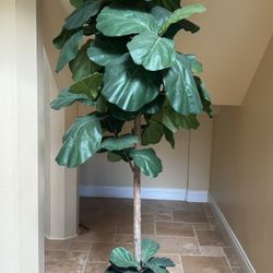 Beautiful Artificial Fiddle Tree With Pot 