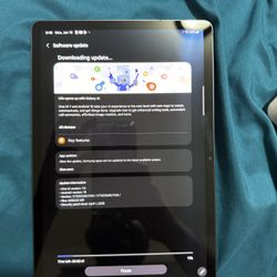 Samsung Galaxy Tab S9 11 Inch 