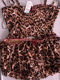 Cheetah set