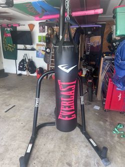 Everlast Heavy and Speed Bag
