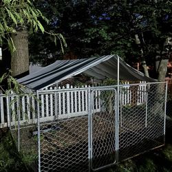 Outdoor Dog Kennel 