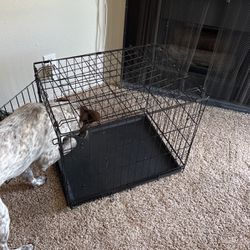 24 Inch Dog Crate 