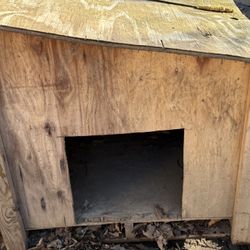 Doghouse 