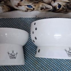 Two Bowl Cats  (Brand Neco-Ichi)