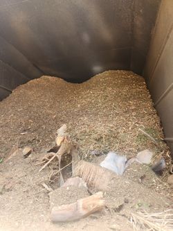 Free Tree Mulch And Pine Trunks