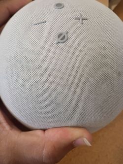 Alexa echo 2022 generation