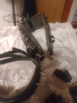 Horse Equipment Collar, Fly Veil And More