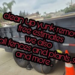 Clean Up N More