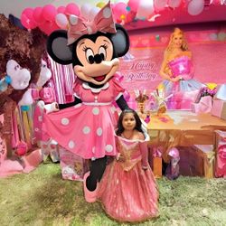 Pink Mrs Mouse Costume Mascot