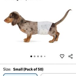 Dog Diaper