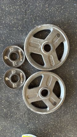 Barbell weights