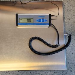 Scale