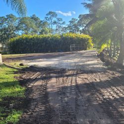 Bobcat/ Dirt leveling/ Land Clearing