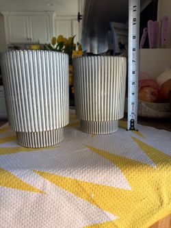 Set of 2 Ribbed Ceramic Planters