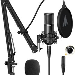 Studio / Podcast Microphones x2