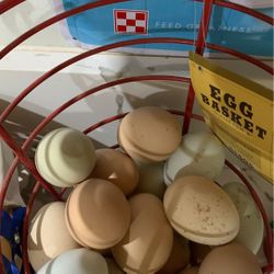 Fresh chicken eggs
