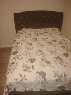 New Bed