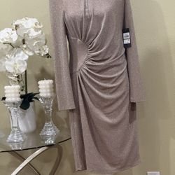 Jessica Howard Women's Waist Shirred Sheath 