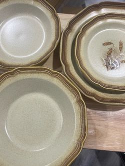 Dinner Plate Set