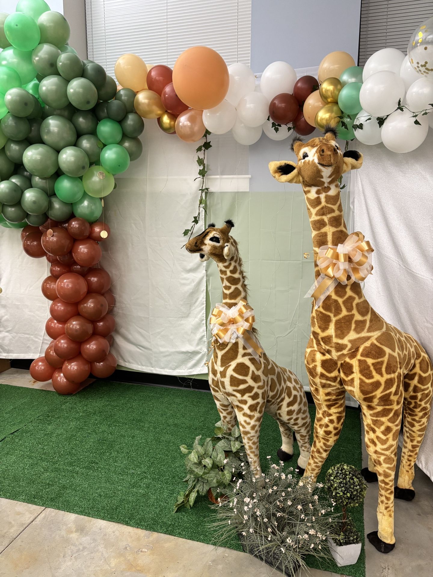 2x Giraffes