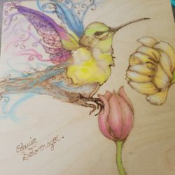 Humming Bird Wood Burning With Added Color