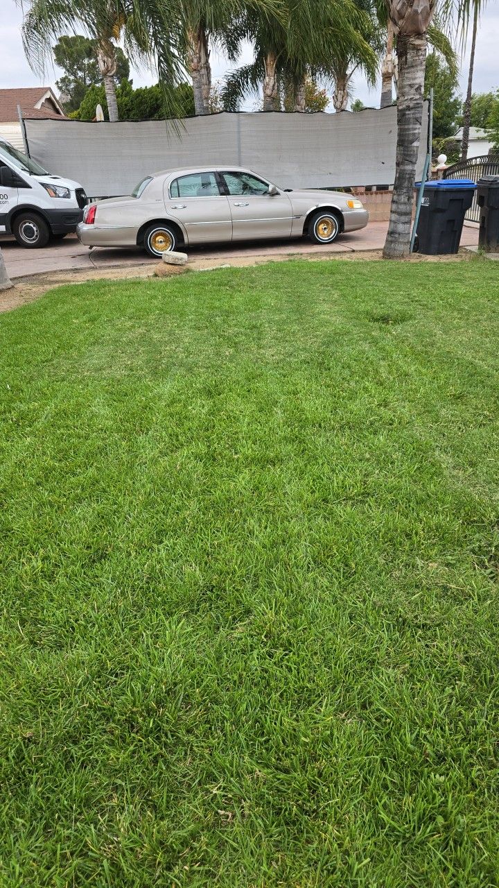 1999 Lincoln Towncar