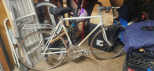 Schwinn Varsity Needs TLC
