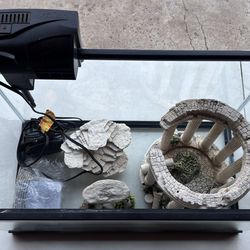 10 Gallon Fish Tank