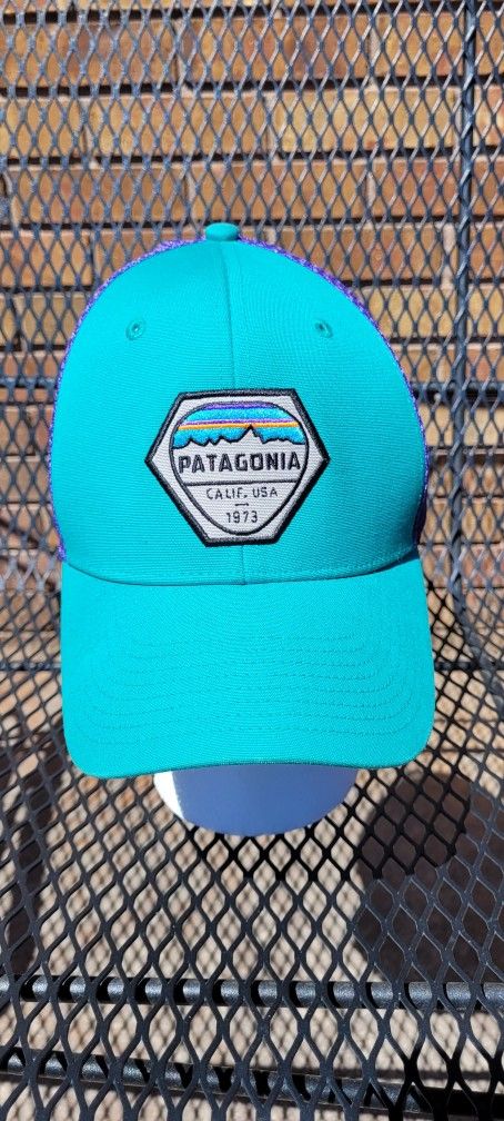 Patagonia Teal And Purple Trucker Snap Back