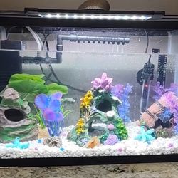 Fish Tank $15