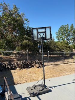 Basketball ball court