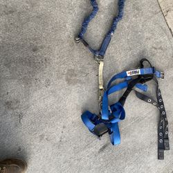 Harness Fall Protection