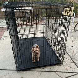 Xxl dog crate