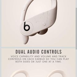 Beats Powerbeats Pro Wireless Earbuds 