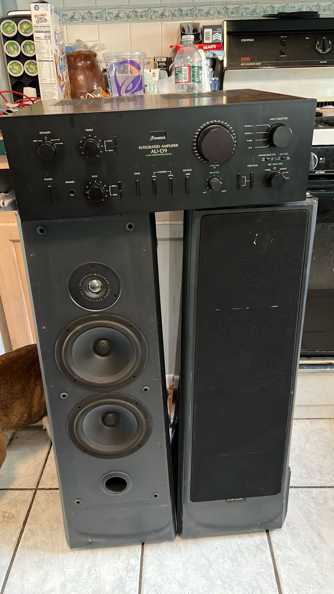 Home Audio System