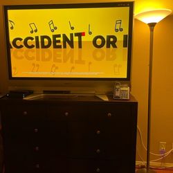 65” Flat Screen TV Panasonic