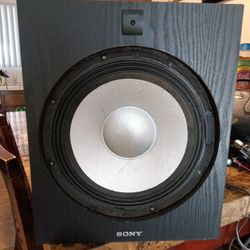 100 Watt Powered Subwoofer