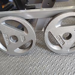 CAP 25lb Olympic Weight Plates 