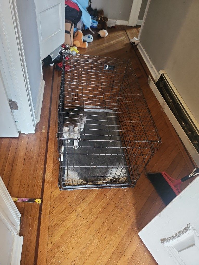 Large cage for dog or cat