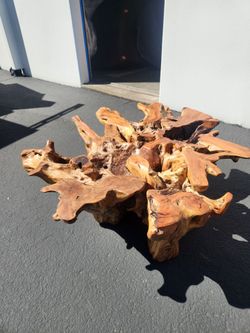 Root  Coffee Table