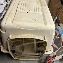 Large Dog Kennel