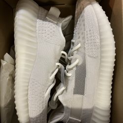 Adidas Yeezy Bone 🦴 size (10.5M). DS(New). $230. Cash (Retail)‼️ deal.  Tardes Always welcome to Lower price. ✅